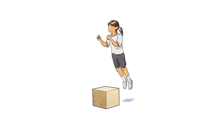 第33回 日本臨床スポーツ医学会 学術発表報告 | アレックス脊椎